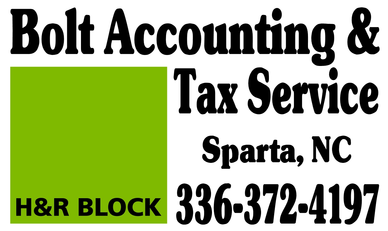 Logo-Bolt Accounting & Tax Services