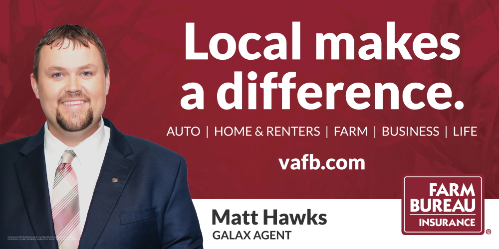 Logo-Matt Hawks, Agent, FB Insurance